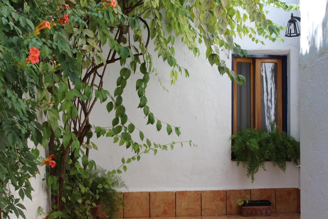 Casa Alcaida Villa เกซาดา ภายนอก รูปภาพ